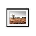 Picture of One Tree _GroupedProduct_Rectangle_Landscape_Photography _GroupedProduct_Rectangle_Landscape_Framed_Matted_