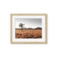 Picture of One Tree _GroupedProduct_Rectangle_Landscape_Photography _GroupedProduct_Rectangle_Landscape_Framed_Matted_