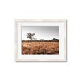 Picture of One Tree _GroupedProduct_Rectangle_Landscape_Photography _GroupedProduct_Rectangle_Landscape_Framed_Matted_