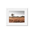 Picture of One Tree _GroupedProduct_Rectangle_Landscape_Photography _GroupedProduct_Rectangle_Landscape_Framed_Matted_