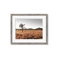 Picture of One Tree _GroupedProduct_Rectangle_Landscape_Photography _GroupedProduct_Rectangle_Landscape_Framed_Matted_