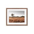 Picture of One Tree _GroupedProduct_Rectangle_Landscape_Photography _GroupedProduct_Rectangle_Landscape_Framed_Matted_