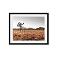 Picture of One Tree _GroupedProduct_Rectangle_Landscape_Photography _GroupedProduct_Rectangle_Landscape_Framed_Matted_