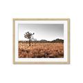 Picture of One Tree _GroupedProduct_Rectangle_Landscape_Photography _GroupedProduct_Rectangle_Landscape_Framed_Matted_