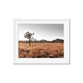 Picture of One Tree _GroupedProduct_Rectangle_Landscape_Photography _GroupedProduct_Rectangle_Landscape_Framed_Matted_