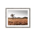 Picture of One Tree _GroupedProduct_Rectangle_Landscape_Photography _GroupedProduct_Rectangle_Landscape_Framed_Matted_