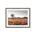Picture of One Tree _GroupedProduct_Rectangle_Landscape_Photography _GroupedProduct_Rectangle_Landscape_Framed_Matted_