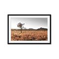 Picture of One Tree _GroupedProduct_Rectangle_Landscape_Photography _GroupedProduct_Rectangle_Landscape_Framed_Matted_
