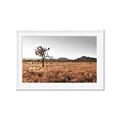 Picture of One Tree _GroupedProduct_Rectangle_Landscape_Photography _GroupedProduct_Rectangle_Landscape_Framed_Matted_