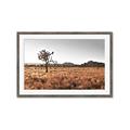 Picture of One Tree _GroupedProduct_Rectangle_Landscape_Photography _GroupedProduct_Rectangle_Landscape_Framed_Matted_