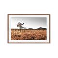 Picture of One Tree _GroupedProduct_Rectangle_Landscape_Photography _GroupedProduct_Rectangle_Landscape_Framed_Matted_