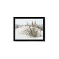 Picture of Sand Dunes _GroupedProduct_Rectangle_Landscape_Photography _GroupedProduct_Rectangle_Landscape_Framed_Matted_