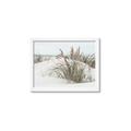 Picture of Sand Dunes _GroupedProduct_Rectangle_Landscape_Photography _GroupedProduct_Rectangle_Landscape_Framed_Matted_