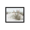 Picture of Sand Dunes _GroupedProduct_Rectangle_Landscape_Photography _GroupedProduct_Rectangle_Landscape_Framed_Matted_