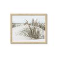 Picture of Sand Dunes _GroupedProduct_Rectangle_Landscape_Photography _GroupedProduct_Rectangle_Landscape_Framed_Matted_