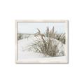Picture of Sand Dunes _GroupedProduct_Rectangle_Landscape_Photography _GroupedProduct_Rectangle_Landscape_Framed_Matted_