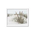 Picture of Sand Dunes _GroupedProduct_Rectangle_Landscape_Photography _GroupedProduct_Rectangle_Landscape_Framed_Matted_
