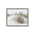 Picture of Sand Dunes _GroupedProduct_Rectangle_Landscape_Photography _GroupedProduct_Rectangle_Landscape_Framed_Matted_