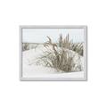 Picture of Sand Dunes _GroupedProduct_Rectangle_Landscape_Photography _GroupedProduct_Rectangle_Landscape_Framed_Matted_