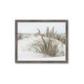 Picture of Sand Dunes _GroupedProduct_Rectangle_Landscape_Photography _GroupedProduct_Rectangle_Landscape_Framed_Matted_