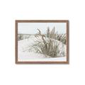 Picture of Sand Dunes _GroupedProduct_Rectangle_Landscape_Photography _GroupedProduct_Rectangle_Landscape_Framed_Matted_