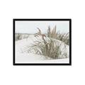 Picture of Sand Dunes _GroupedProduct_Rectangle_Landscape_Photography _GroupedProduct_Rectangle_Landscape_Framed_Matted_
