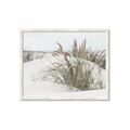 Picture of Sand Dunes _GroupedProduct_Rectangle_Landscape_Photography _GroupedProduct_Rectangle_Landscape_Framed_Matted_