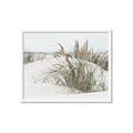 Picture of Sand Dunes _GroupedProduct_Rectangle_Landscape_Photography _GroupedProduct_Rectangle_Landscape_Framed_Matted_