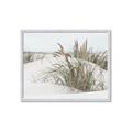 Picture of Sand Dunes _GroupedProduct_Rectangle_Landscape_Photography _GroupedProduct_Rectangle_Landscape_Framed_Matted_