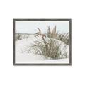 Picture of Sand Dunes _GroupedProduct_Rectangle_Landscape_Photography _GroupedProduct_Rectangle_Landscape_Framed_Matted_
