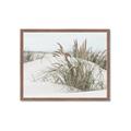 Picture of Sand Dunes _GroupedProduct_Rectangle_Landscape_Photography _GroupedProduct_Rectangle_Landscape_Framed_Matted_