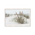 Picture of Sand Dunes _GroupedProduct_Rectangle_Landscape_Photography _GroupedProduct_Rectangle_Landscape_Framed_Matted_