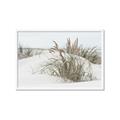 Picture of Sand Dunes _GroupedProduct_Rectangle_Landscape_Photography _GroupedProduct_Rectangle_Landscape_Framed_Matted_