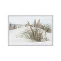 Picture of Sand Dunes _GroupedProduct_Rectangle_Landscape_Photography _GroupedProduct_Rectangle_Landscape_Framed_Matted_