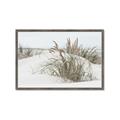 Picture of Sand Dunes _GroupedProduct_Rectangle_Landscape_Photography _GroupedProduct_Rectangle_Landscape_Framed_Matted_