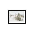 Picture of Sand Dunes _GroupedProduct_Rectangle_Landscape_Photography _GroupedProduct_Rectangle_Landscape_Framed_Matted_