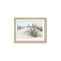 Picture of Sand Dunes _GroupedProduct_Rectangle_Landscape_Photography _GroupedProduct_Rectangle_Landscape_Framed_Matted_