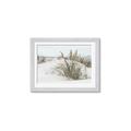 Picture of Sand Dunes _GroupedProduct_Rectangle_Landscape_Photography _GroupedProduct_Rectangle_Landscape_Framed_Matted_