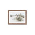 Picture of Sand Dunes _GroupedProduct_Rectangle_Landscape_Photography _GroupedProduct_Rectangle_Landscape_Framed_Matted_