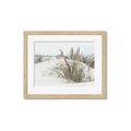 Picture of Sand Dunes _GroupedProduct_Rectangle_Landscape_Photography _GroupedProduct_Rectangle_Landscape_Framed_Matted_