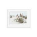 Picture of Sand Dunes _GroupedProduct_Rectangle_Landscape_Photography _GroupedProduct_Rectangle_Landscape_Framed_Matted_