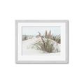Picture of Sand Dunes _GroupedProduct_Rectangle_Landscape_Photography _GroupedProduct_Rectangle_Landscape_Framed_Matted_