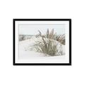 Picture of Sand Dunes _GroupedProduct_Rectangle_Landscape_Photography _GroupedProduct_Rectangle_Landscape_Framed_Matted_