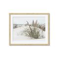 Picture of Sand Dunes _GroupedProduct_Rectangle_Landscape_Photography _GroupedProduct_Rectangle_Landscape_Framed_Matted_