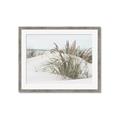 Picture of Sand Dunes _GroupedProduct_Rectangle_Landscape_Photography _GroupedProduct_Rectangle_Landscape_Framed_Matted_