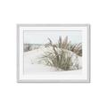 Picture of Sand Dunes _GroupedProduct_Rectangle_Landscape_Photography _GroupedProduct_Rectangle_Landscape_Framed_Matted_