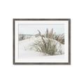Picture of Sand Dunes _GroupedProduct_Rectangle_Landscape_Photography _GroupedProduct_Rectangle_Landscape_Framed_Matted_