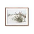 Picture of Sand Dunes _GroupedProduct_Rectangle_Landscape_Photography _GroupedProduct_Rectangle_Landscape_Framed_Matted_