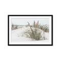 Picture of Sand Dunes _GroupedProduct_Rectangle_Landscape_Photography _GroupedProduct_Rectangle_Landscape_Framed_Matted_