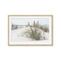 Picture of Sand Dunes _GroupedProduct_Rectangle_Landscape_Photography _GroupedProduct_Rectangle_Landscape_Framed_Matted_